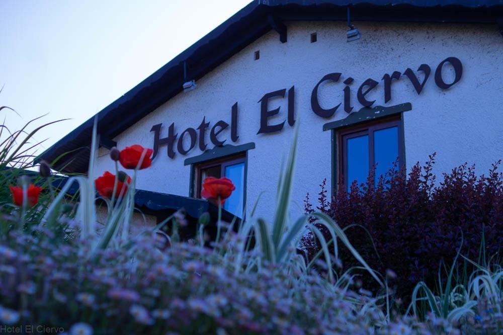 Hotel El Ciervo บียารีกา ภายนอก รูปภาพ