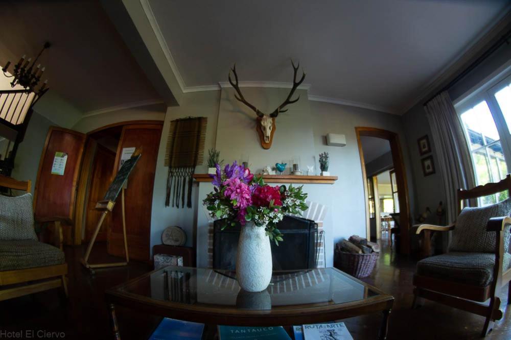 Hotel El Ciervo บียารีกา ภายนอก รูปภาพ